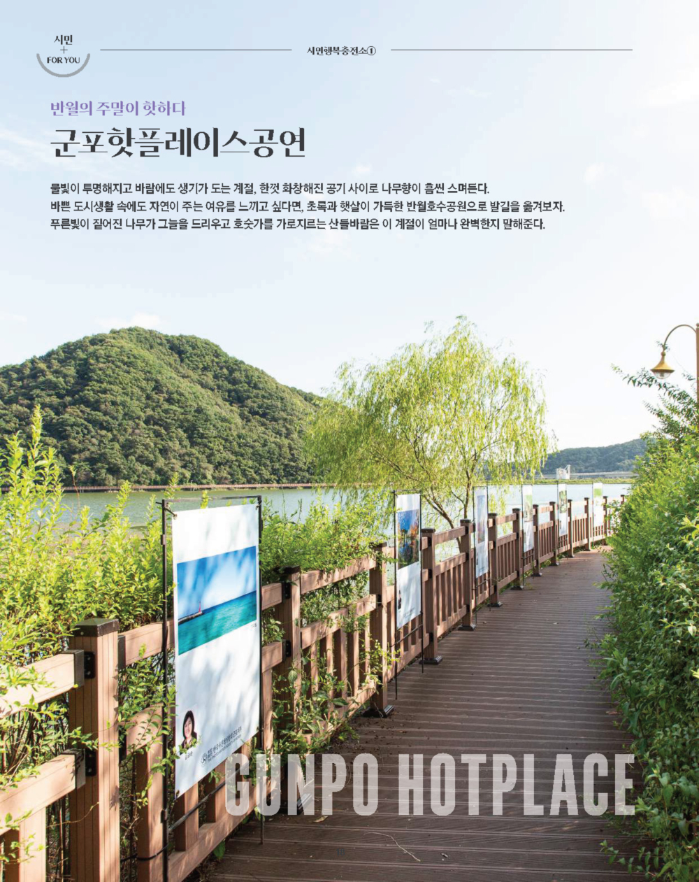 페이지